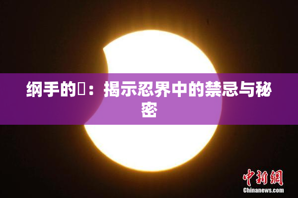纲手的婬：揭示忍界中的禁忌与秘密