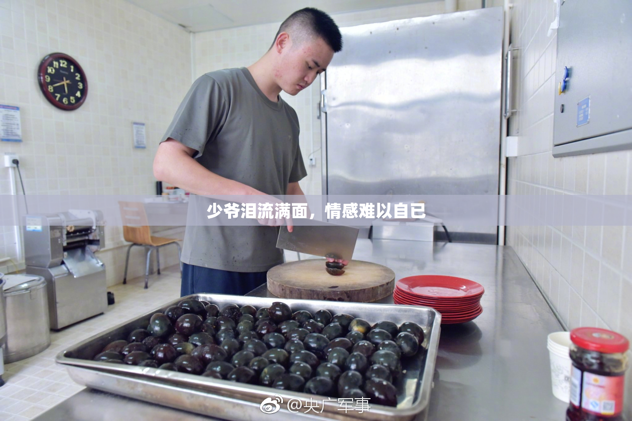 少爷泪流满面，情感难以自已
