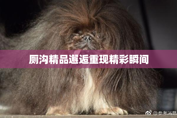 厕沟精品邂逅重现精彩瞬间