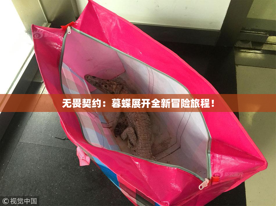 无畏契约：暮蝶展开全新冒险旅程！