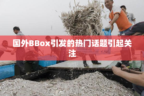 国外BBox引发的热门话题引起关注