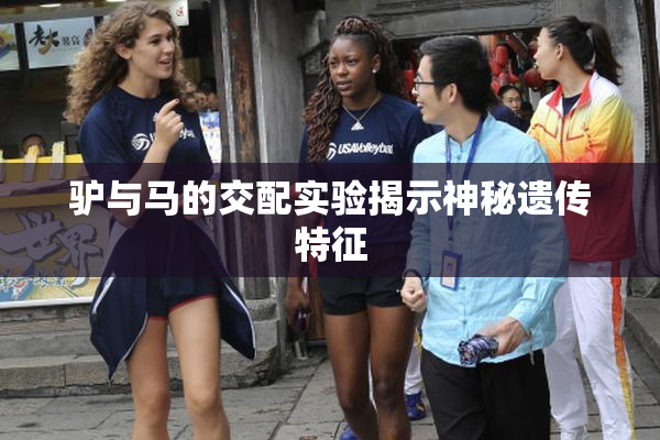 驴与马的交配实验揭示神秘遗传特征