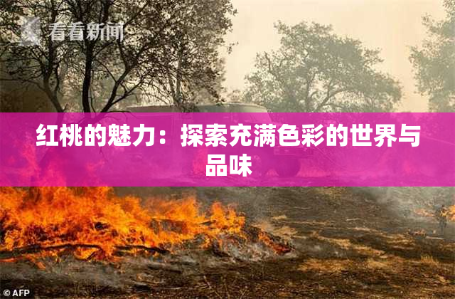 红桃的魅力：探索充满色彩的世界与品味