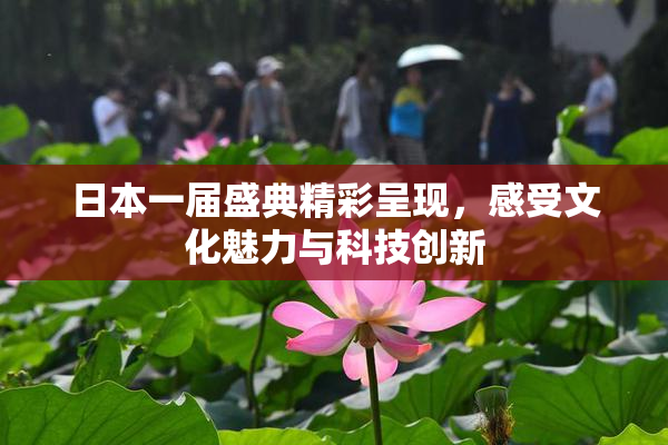 日本一届盛典精彩呈现，感受文化魅力与科技创新