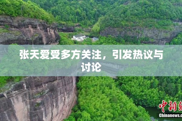 张天爱受多方关注，引发热议与讨论