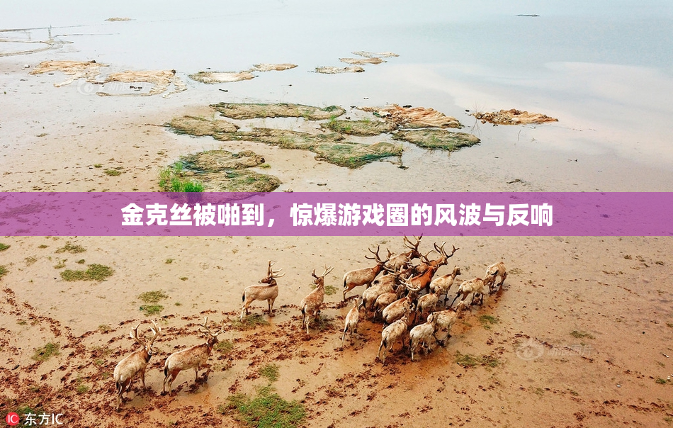 金克丝被啪到，惊爆游戏圈的风波与反响