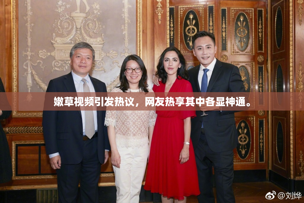 嫩草视频引发热议，网友热享其中各显神通。
