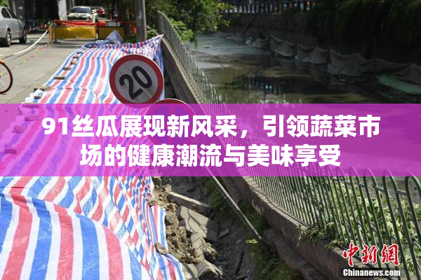 91丝瓜展现新风采，引领蔬菜市场的健康潮流与美味享受