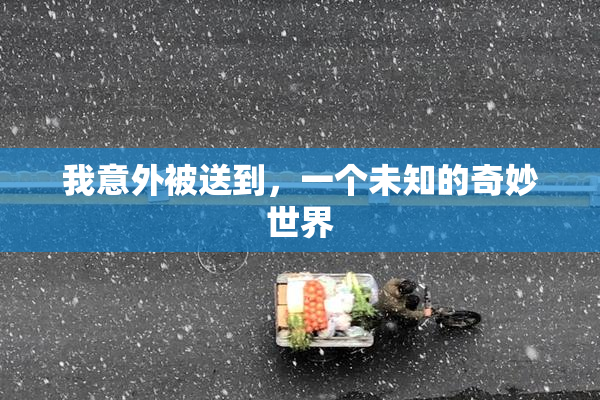 我意外被送到，一个未知的奇妙世界