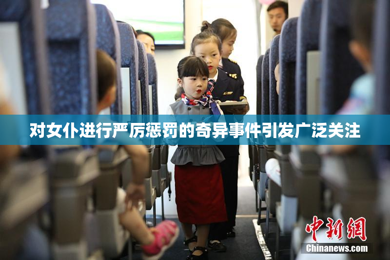 对女仆进行严厉惩罚的奇异事件引发广泛关注