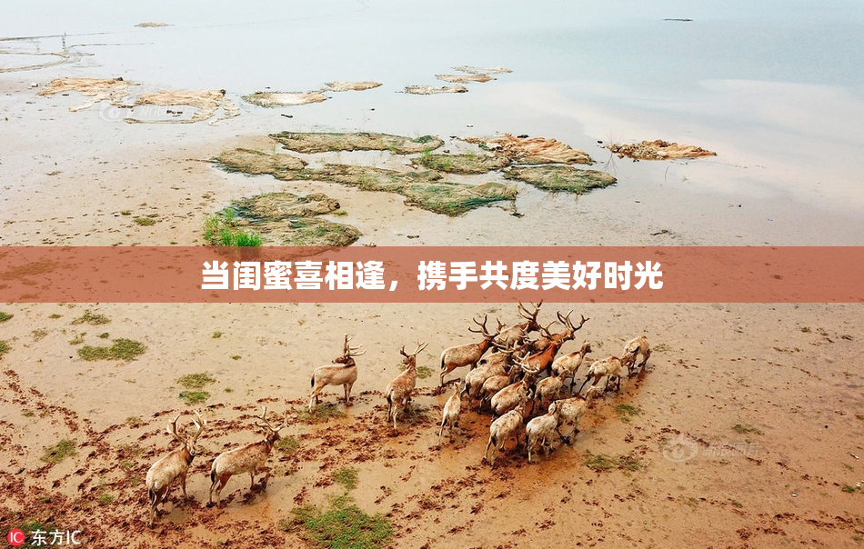 当闺蜜喜相逢，携手共度美好时光