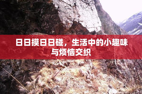 日日摸日日碰，生活中的小趣味与烦恼交织