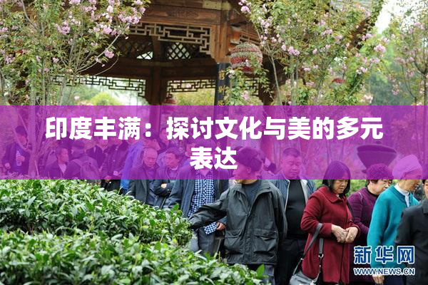 印度丰满：探讨文化与美的多元表达