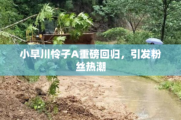 小早川怜子A重磅回归，引发粉丝热潮
