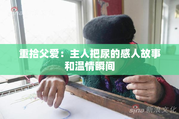 重拾父爱：主人把尿的感人故事和温情瞬间