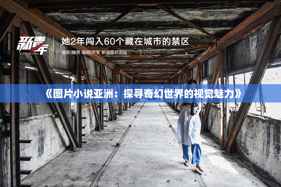 《图片小说亚洲：探寻奇幻世界的视觉魅力》