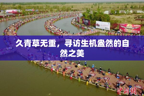 久青草无重，寻访生机盎然的自然之美