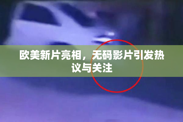 欧美新片亮相，无码影片引发热议与关注