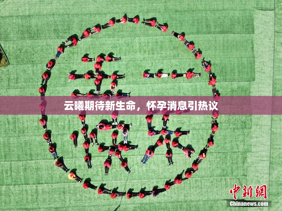 云曦期待新生命，怀孕消息引热议