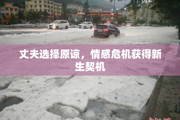 丈夫选择原谅，情感危机获得新生契机