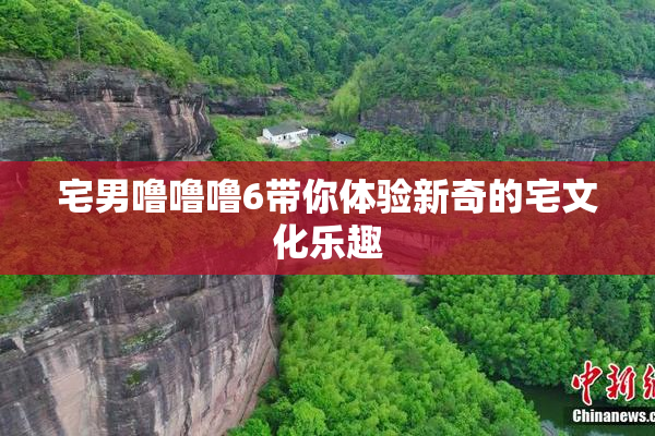 宅男噜噜噜6带你体验新奇的宅文化乐趣