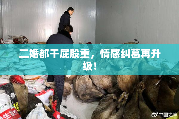 二婚都干屁股重，情感纠葛再升级！