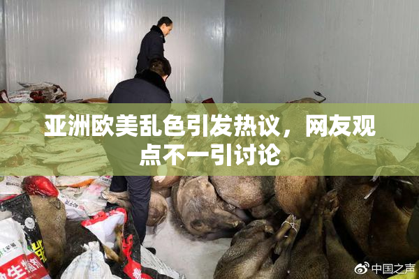 亚洲欧美乱色引发热议，网友观点不一引讨论