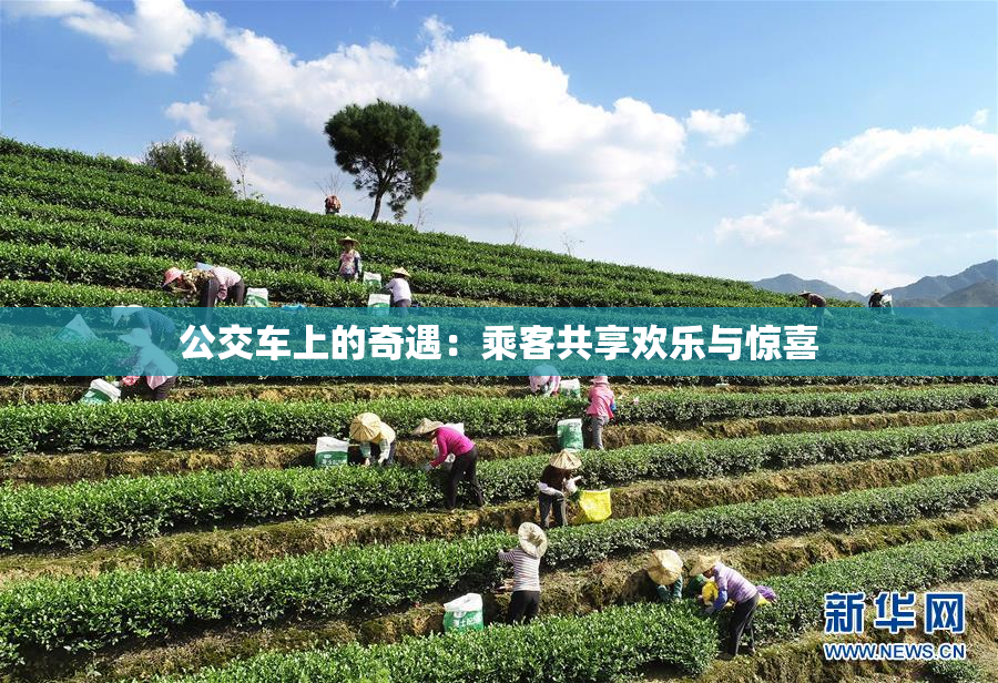 公交车上的奇遇：乘客共享欢乐与惊喜