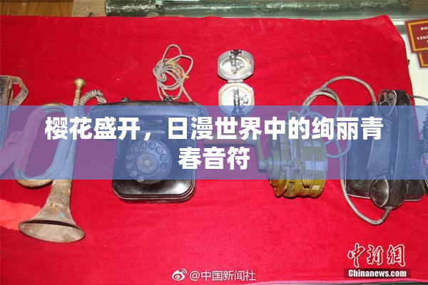 樱花盛开，日漫世界中的绚丽青春音符