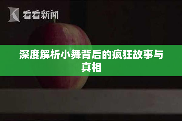 深度解析小舞背后的疯狂故事与真相