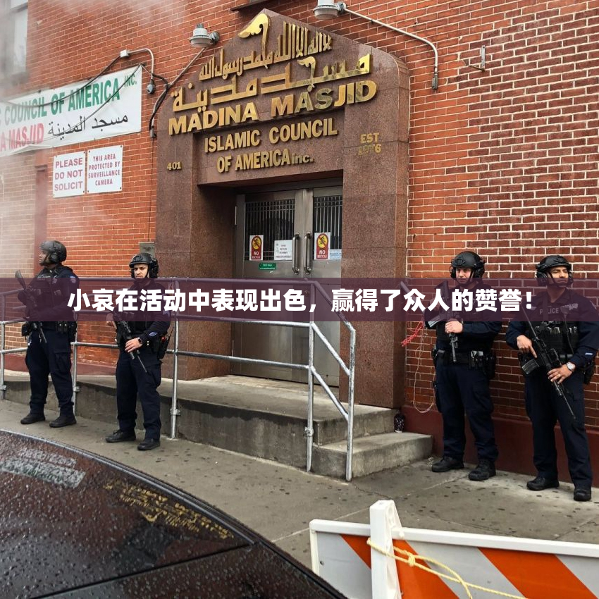 小哀在活动中表现出色，赢得了众人的赞誉！