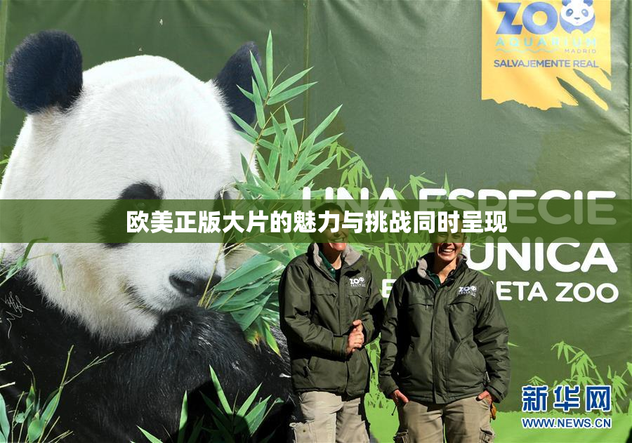 欧美正版大片的魅力与挑战同时呈现