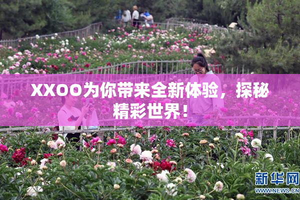 XXOO为你带来全新体验，探秘精彩世界！