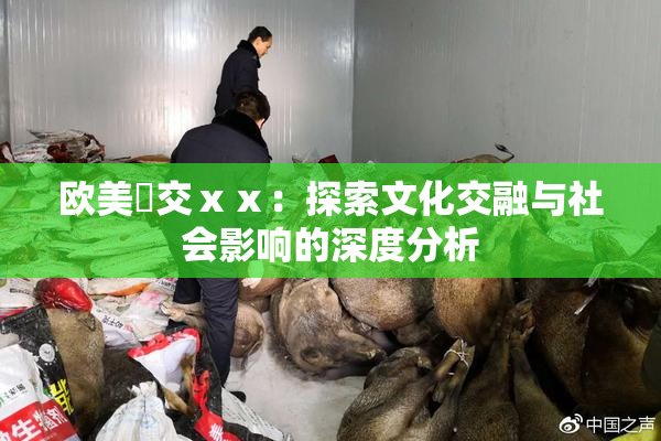欧美嘼交ⅹⅹ：探索文化交融与社会影响的深度分析
