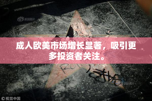 成人欧美市场增长显著，吸引更多投资者关注。