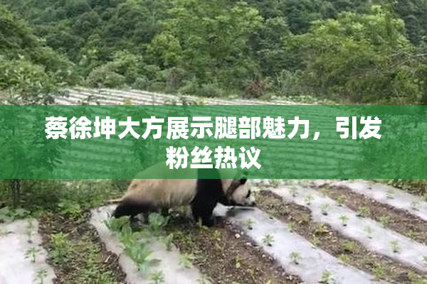 蔡徐坤大方展示腿部魅力，引发粉丝热议