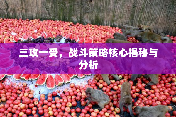 三攻一受，战斗策略核心揭秘与分析