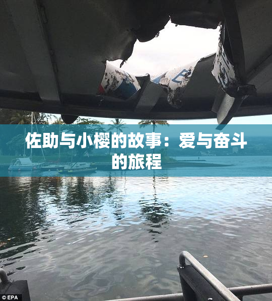 佐助与小樱的故事：爱与奋斗的旅程