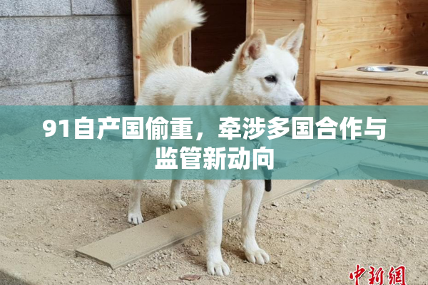 91自产国偷重，牵涉多国合作与监管新动向
