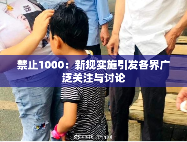禁止1000：新规实施引发各界广泛关注与讨论