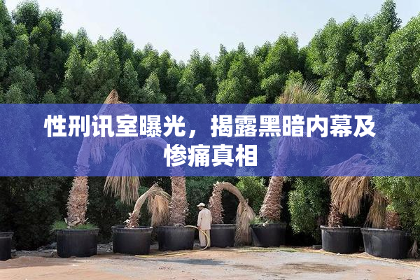 性刑讯室曝光，揭露黑暗内幕及惨痛真相