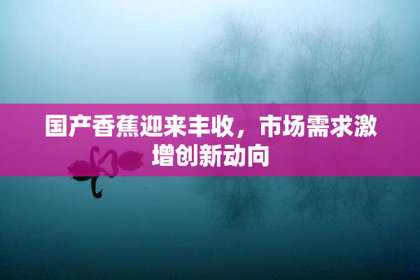 国产香蕉迎来丰收，市场需求激增创新动向