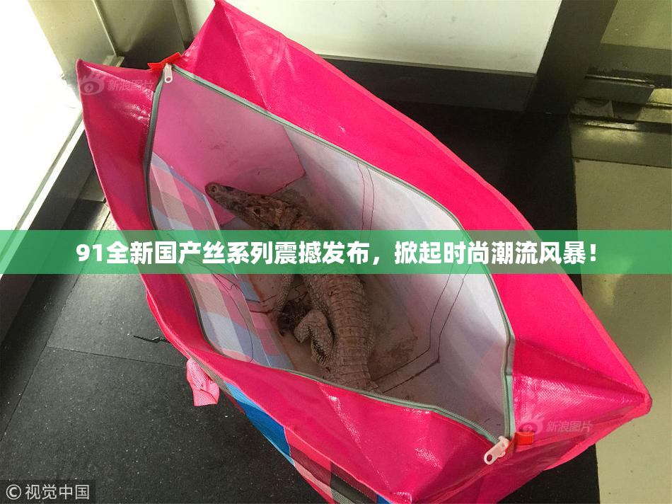 91全新国产丝系列震撼发布，掀起时尚潮流风暴！