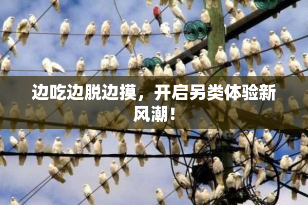 边吃边脱边摸，开启另类体验新风潮！