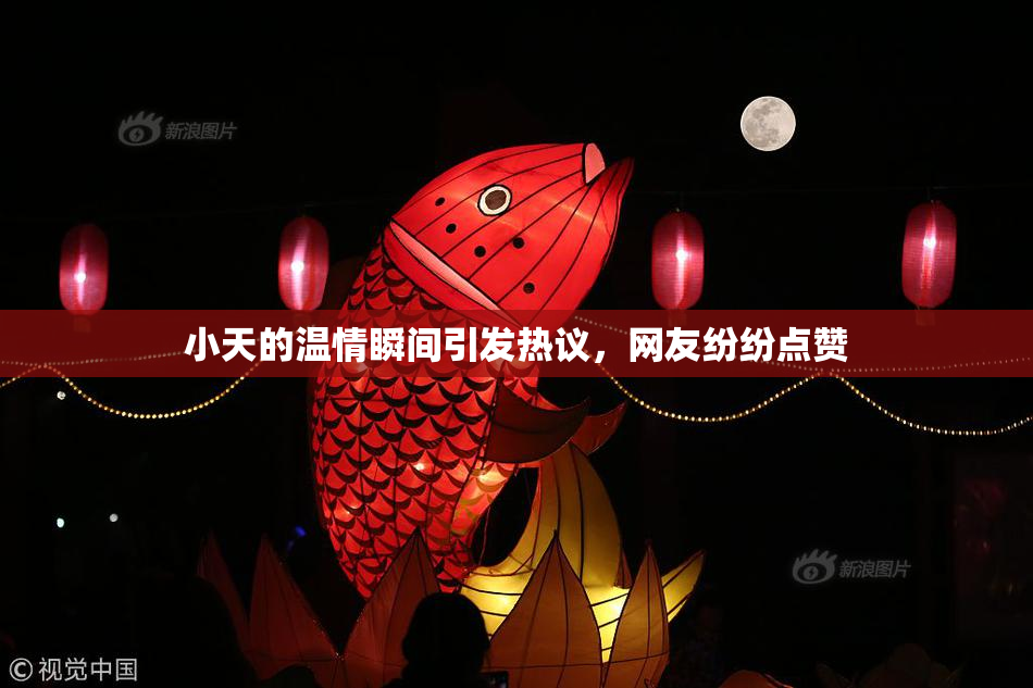 小天的温情瞬间引发热议，网友纷纷点赞