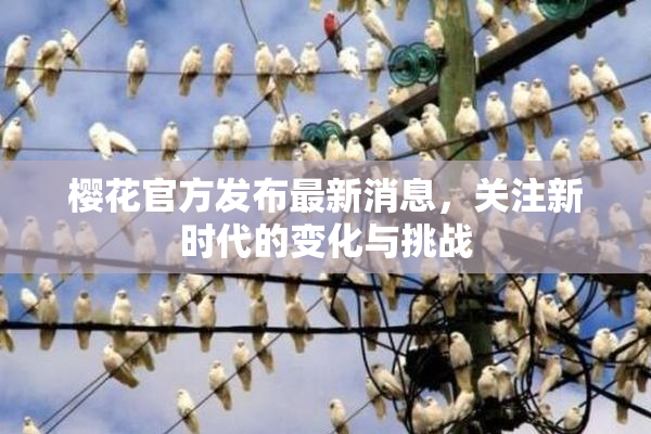 樱花官方发布最新消息，关注新时代的变化与挑战