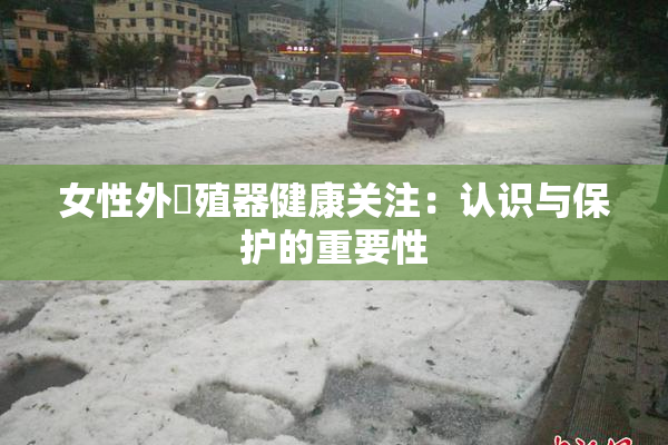 女性外夝殖器健康关注：认识与保护的重要性