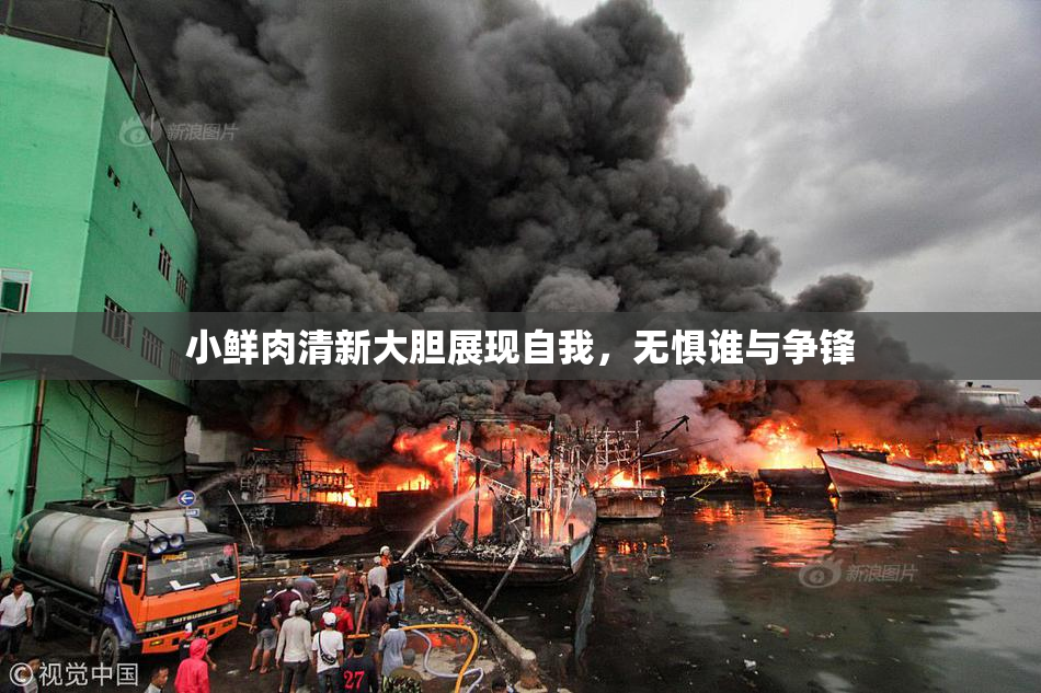 小鲜肉清新大胆展现自我，无惧谁与争锋