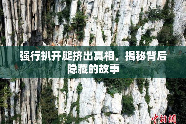 强行扒开腿挤出真相，揭秘背后隐藏的故事