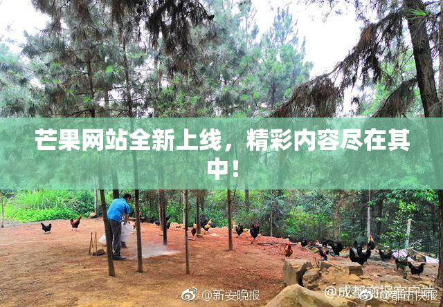 芒果网站全新上线，精彩内容尽在其中！